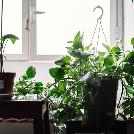 Pensionat Filippo's Holiday House